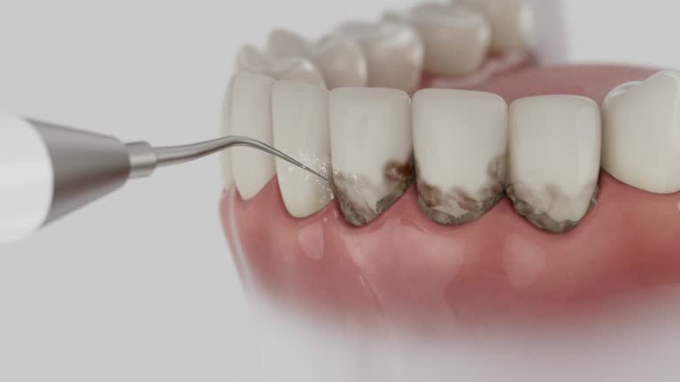 Reliable Dental contractor in Coalfield, TN by Dentist Open Now